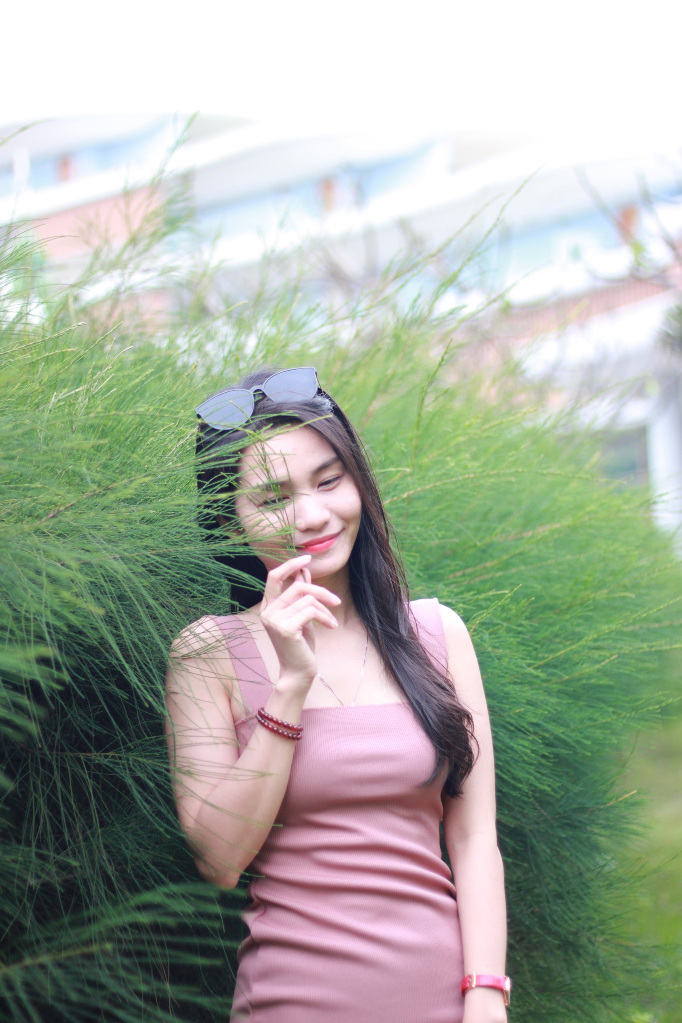 Ảnh VÂN