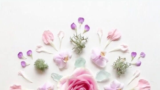 Hình bài bản chất thật sự của ta bị che giấu